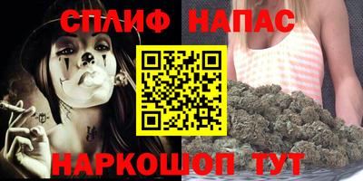сатива Будённовск