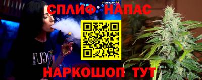сатива Будённовск