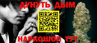 сатива Будённовск