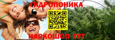 сатива Будённовск