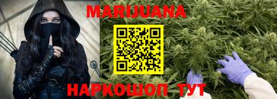 сатива Будённовск