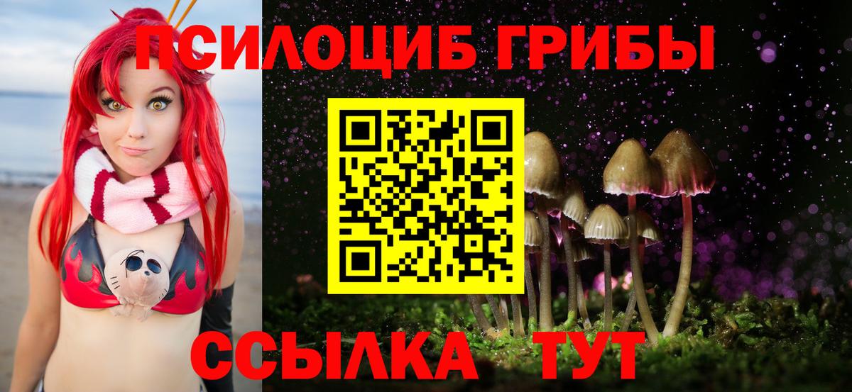 Псилоцибиновые грибы GOLDEN TEACHER  Вход с VPN  Псилоцибиновые грибы мухоморы  Туапсе 